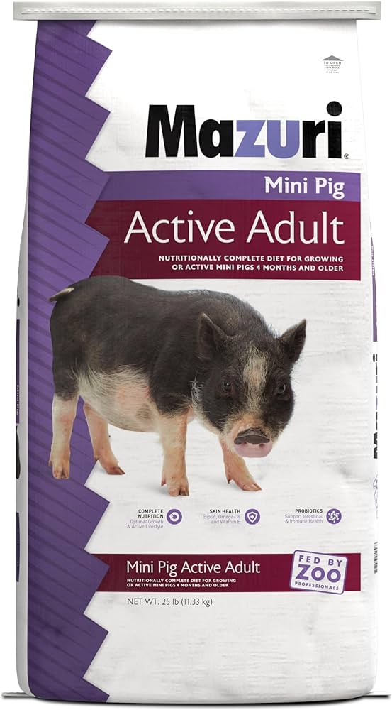 Miniature pig food best sale