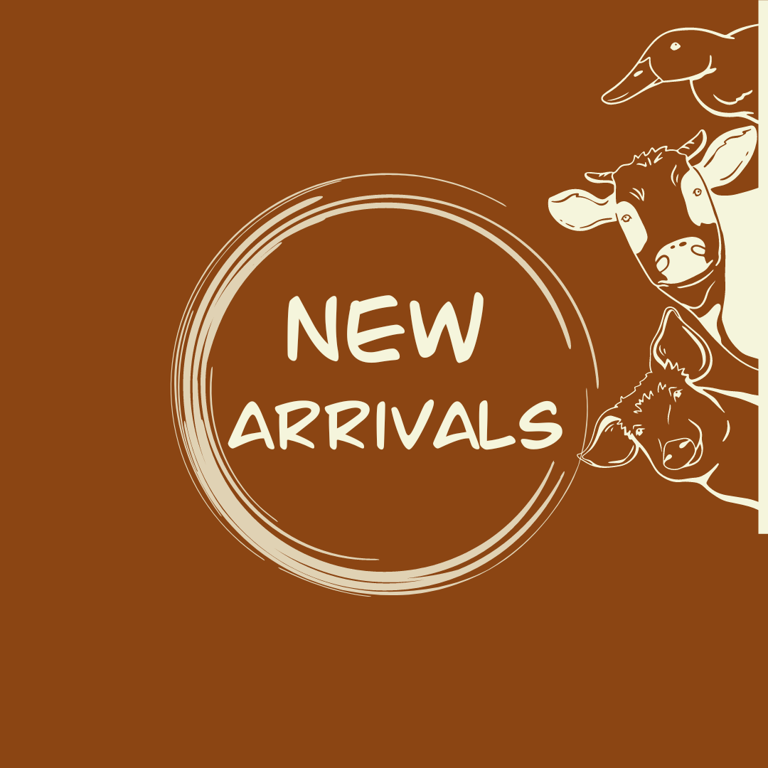 New Arrivals