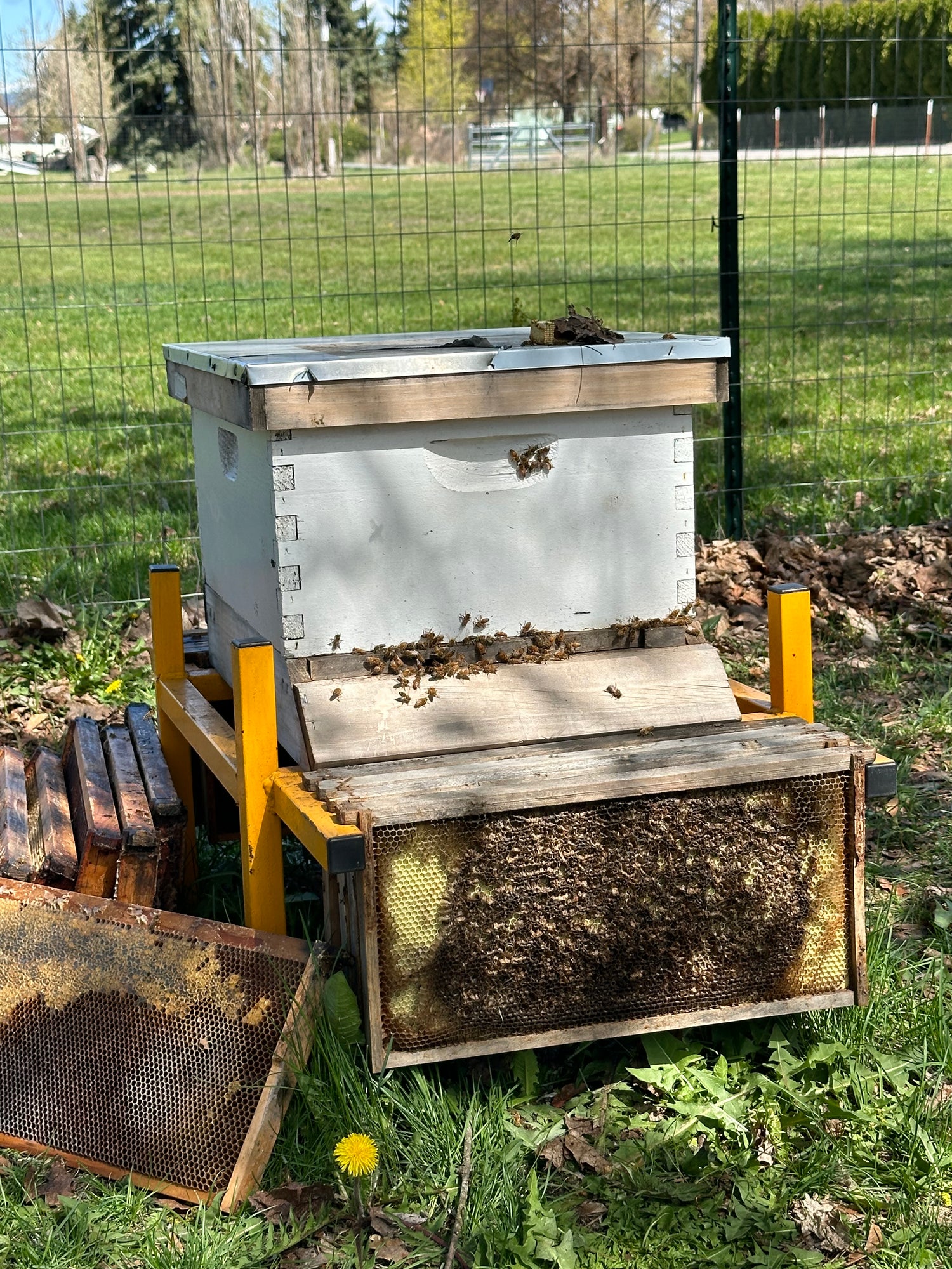 Beekeeping Supplies