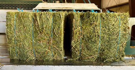 Hay Alfalfa Compressed