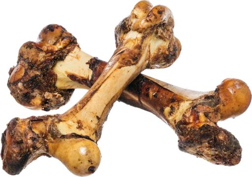 Redbarn Mammoth Bone