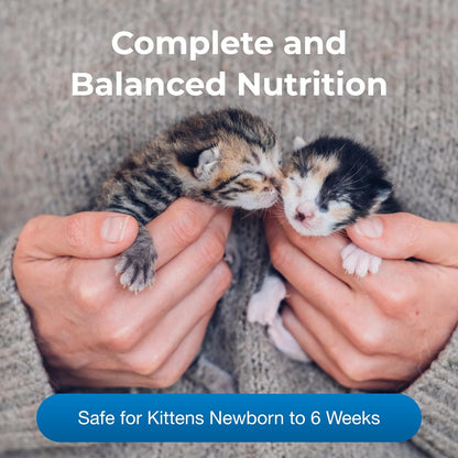 Kitten Milk Replacer Powder