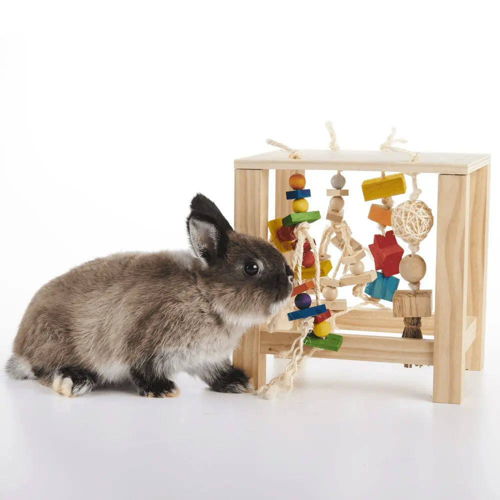 Oxbow Play Table Small Animal Toy