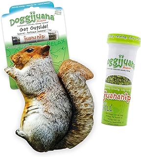 Doggijuana Get Outdoors Squirrel Toy