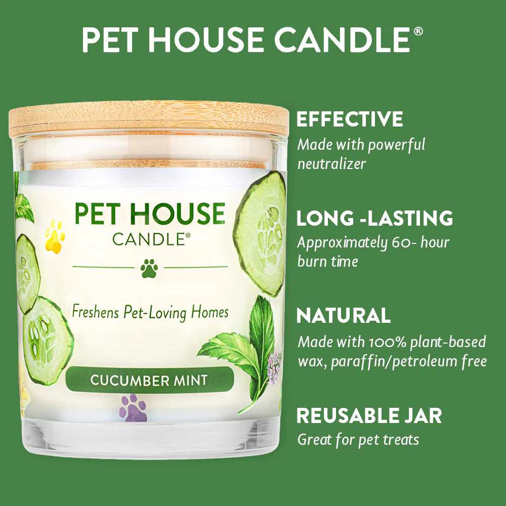 PH Candle Cucumber Mint