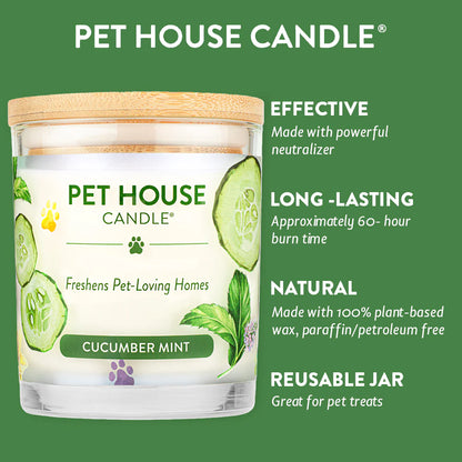 PH Candle Cucumber Mint