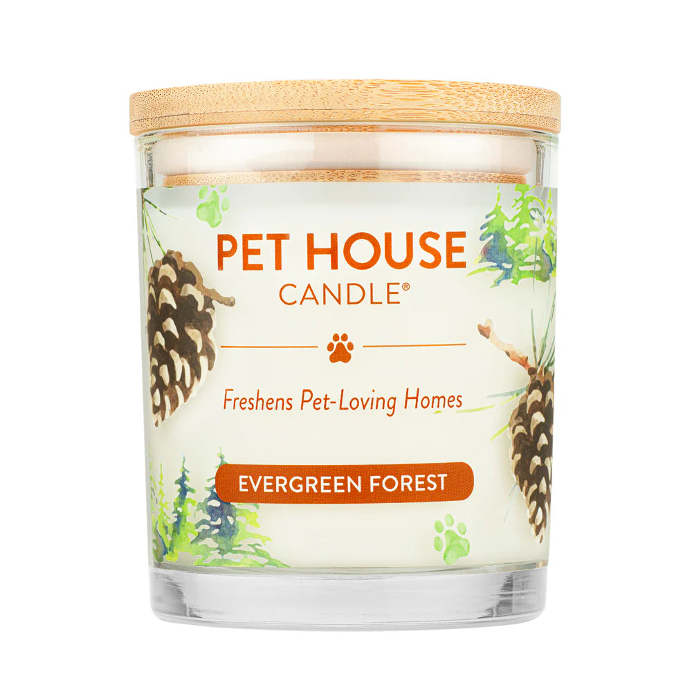 PH Candle Evergreen Forest