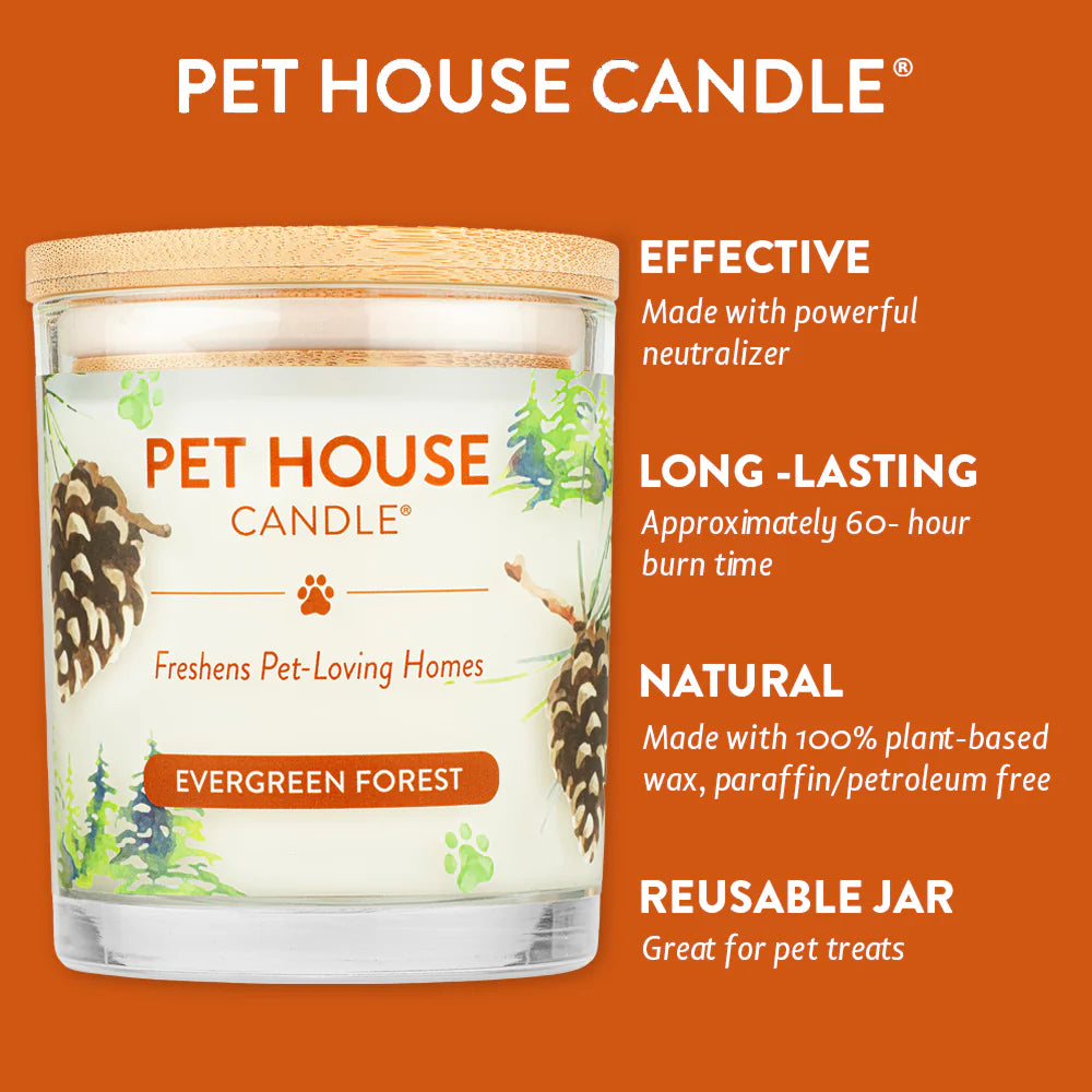 PH Candle Evergreen Forest