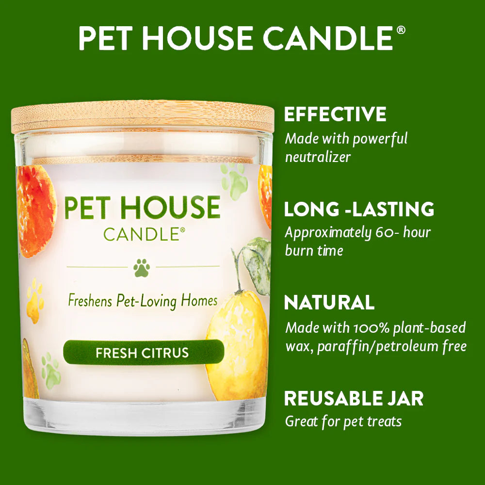 PH Candle Fresh Citrus