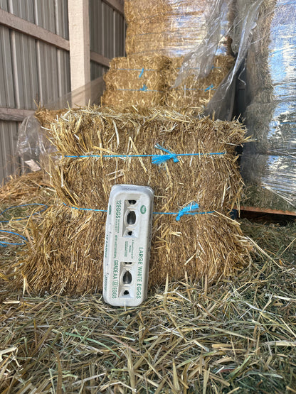 Hay Straw