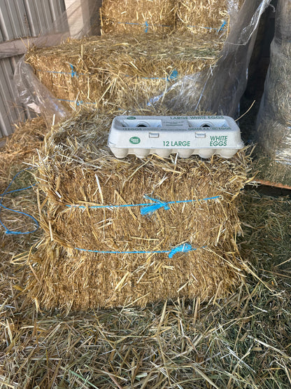 Hay Straw