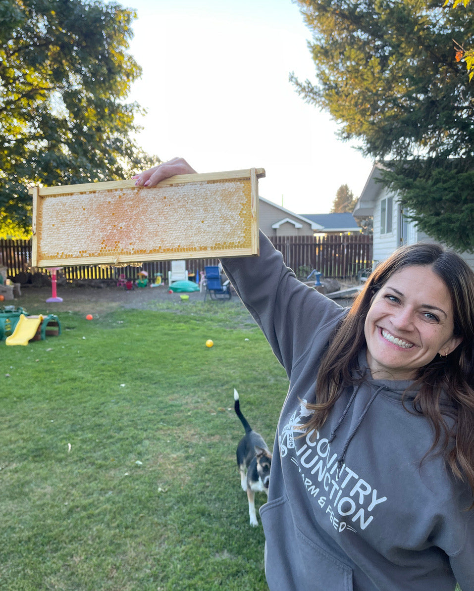 Live Honey Bees – Pick Up Only