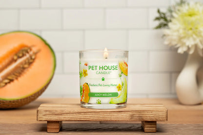 PH Candle Juicy Melon