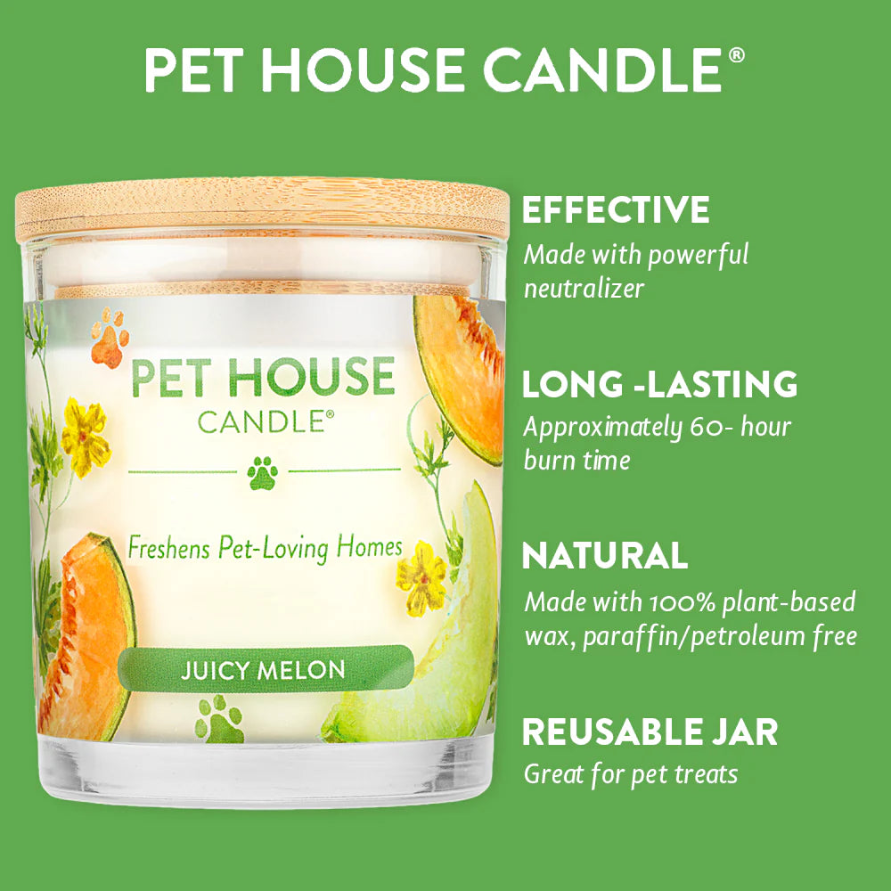 PH Candle Juicy Melon