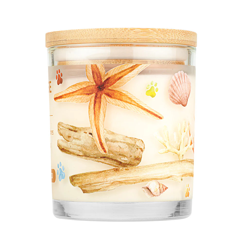 PH Candle Ocean Driftwood