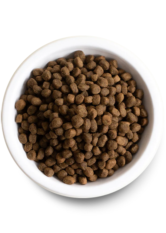 Open Farm Whitefish Grains Dog Food