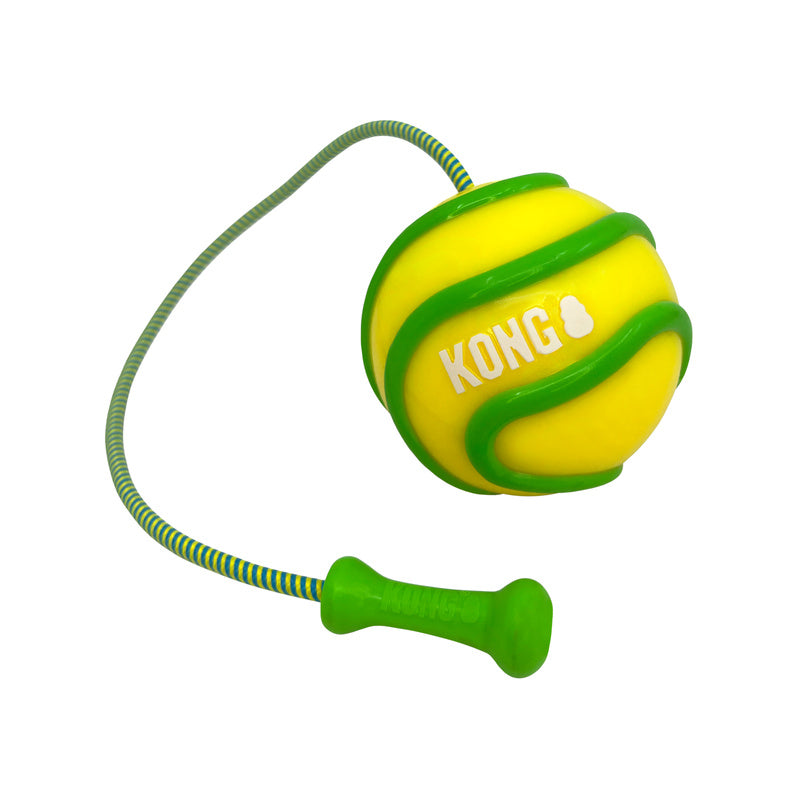 Kong Bunji High-Viz Ball Assorted Dog Toy