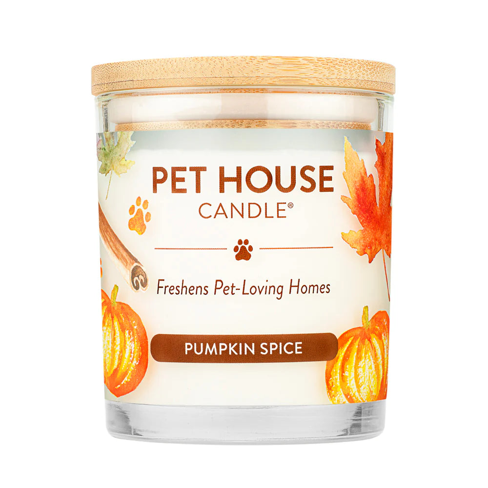 PH Candle Pumpkin Spice