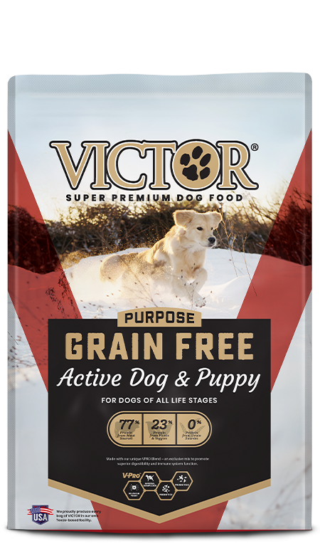 Victor GF Active Dog & Puppy