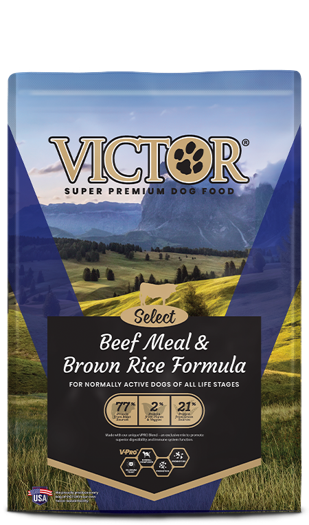 Victor Beef & Rice