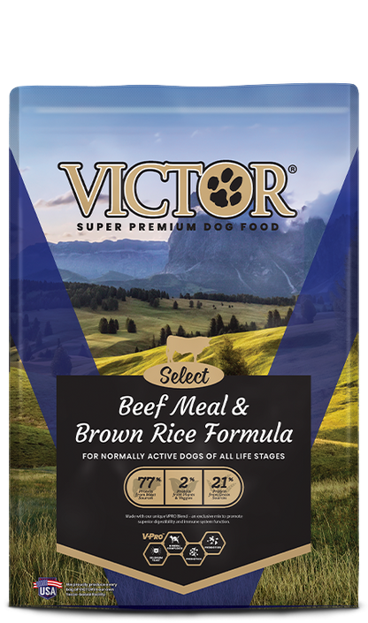 Victor Beef & Rice