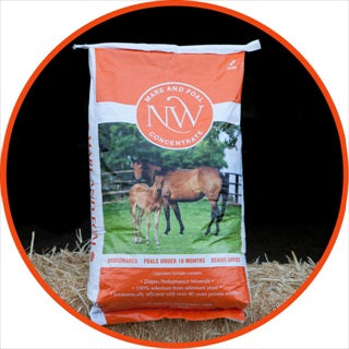 NW Mare & Foal 16%