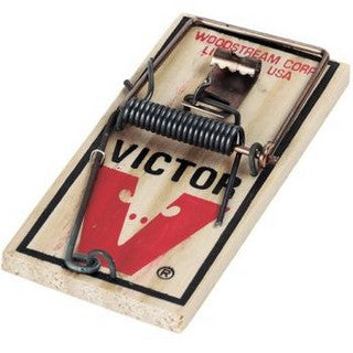 Victor Wood Mouse trap 2pk