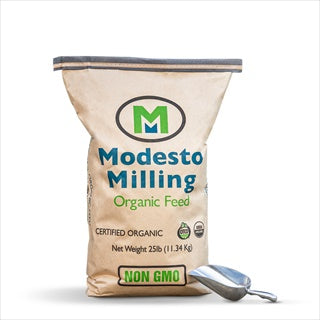 Modesto Milling Rabbit