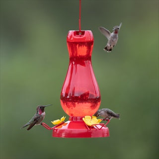 PP Hummingbird Feeder Ruby Red