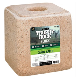 Trophy Rock Block