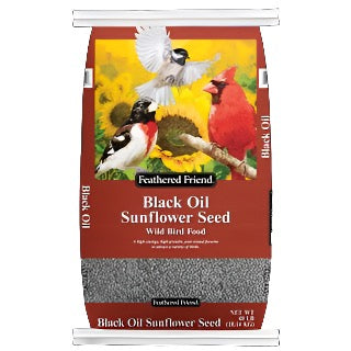 FF Black Oil Sunflower Seeds