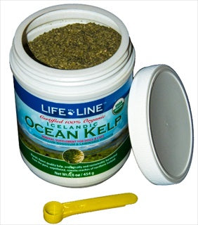 LL Organic Ocean Kelp Can