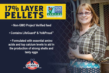 Kalmbach N-GMO 17% Layer Pellet