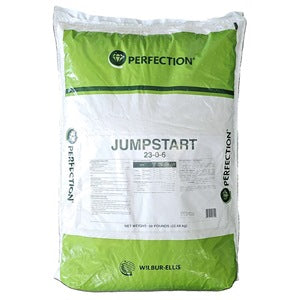 Perfection Jump Start 23-0-6