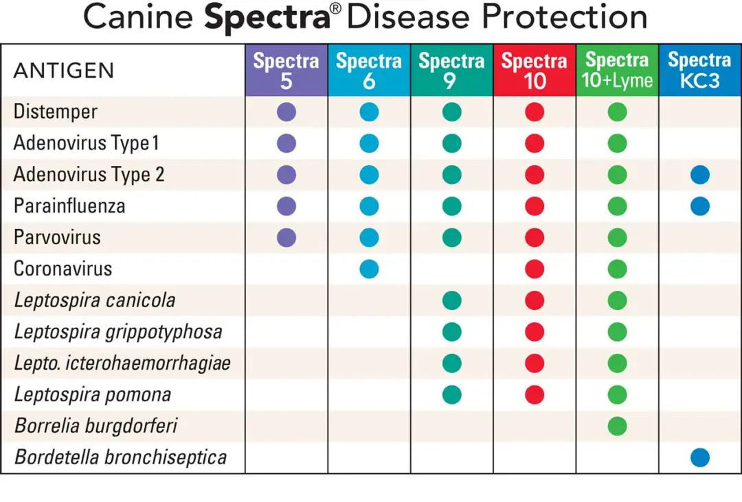 Spectra 09 Canine