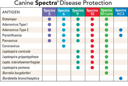 Spectra 09 Canine
